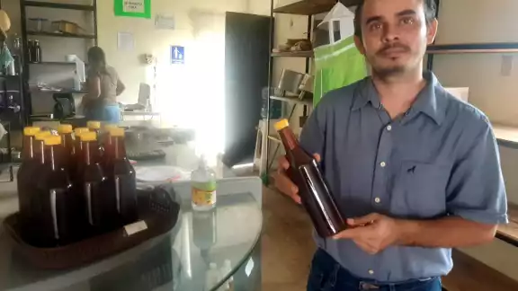 La temporada se sequía deja sin alimentos a las abejas La temporada se sequía deja sin alimentos a las abejas