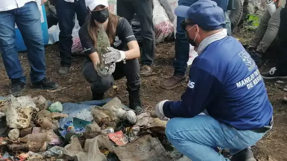 En los tres años recientes se han limpiado 59 ojos acuíferos, con altos niveles de contaminación