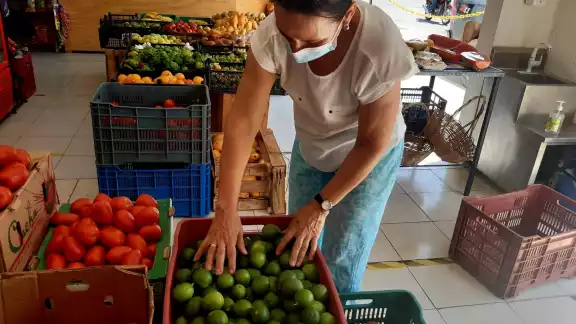 Citricultores aseguraron que se necesita contar con apoyos estatales y federales ante esta situación Citricultores aseguraron que se necesita contar con apoyos estatales y federales ante esta situación