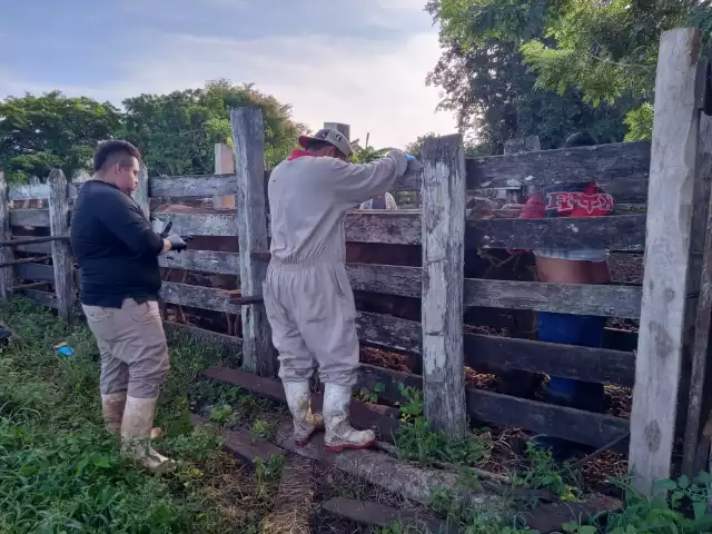 Rancheros consideraron que luego de recibir la capacitación inicial pueden actuar solos