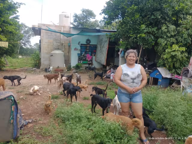 Verónica es la encargada del albergue canino y felino "Échame una pata"