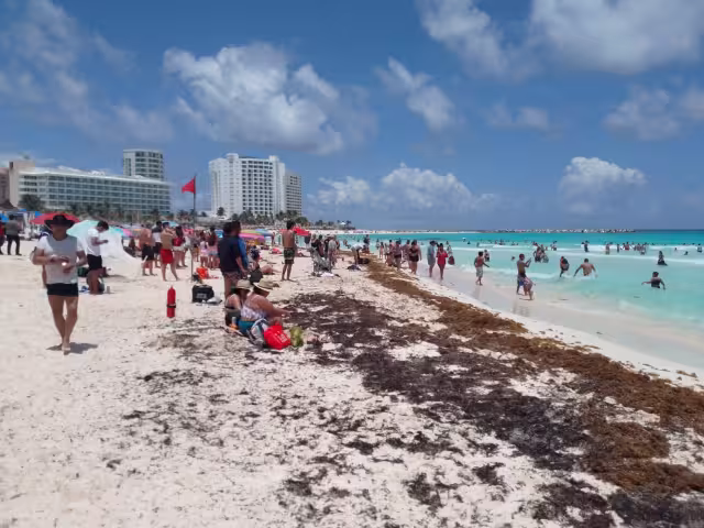 Ni el sargazo en la arena evitó que las familias convivan este domingo
