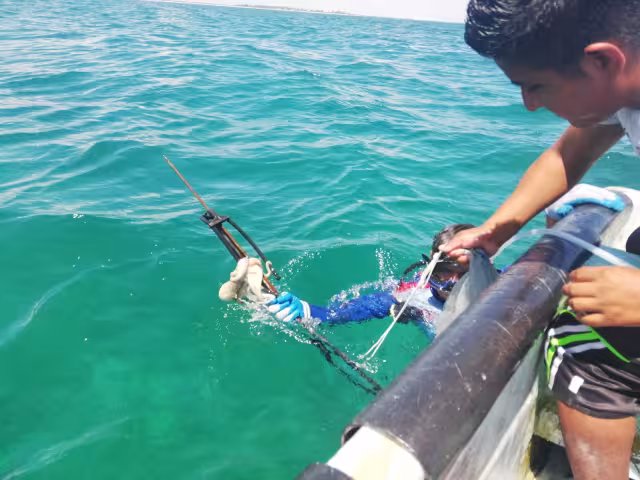 Los pescadores tuvieron que optar por  capturar productos con escama