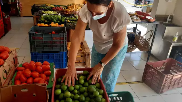 Citricultores aseguraron que se necesita contar con apoyos estatales y federales ante esta situación