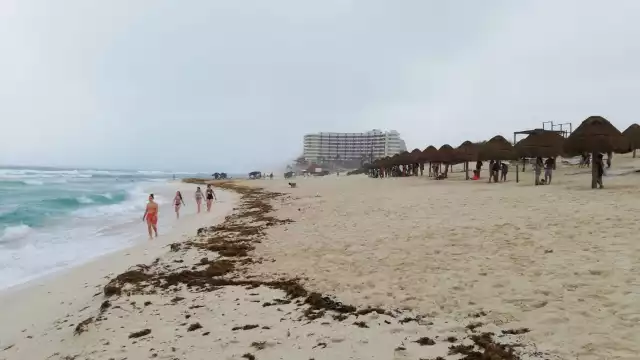En algunas playas es posible observar una cantidad mínima de sargazo en Cancún
