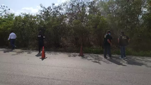 El hallazgo se hizo en el periférico de Mérida