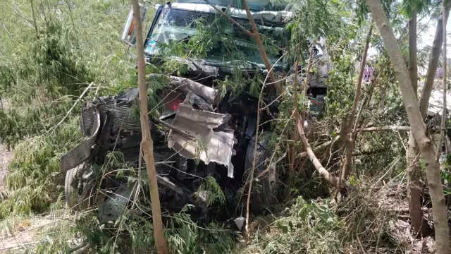 El tráiler terminó dentro del monte después de chocar contra el camión