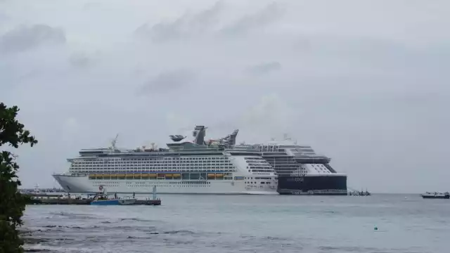 El Gobierno de Cozumel planea construir un muelle para recibir más cruceros en la isla, sin medir daños ambientales, indica la bióloga Italia Moreno