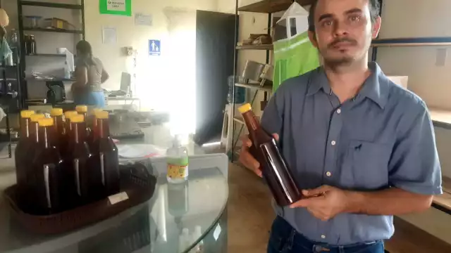 La temporada se sequía deja sin alimentos a las abejas