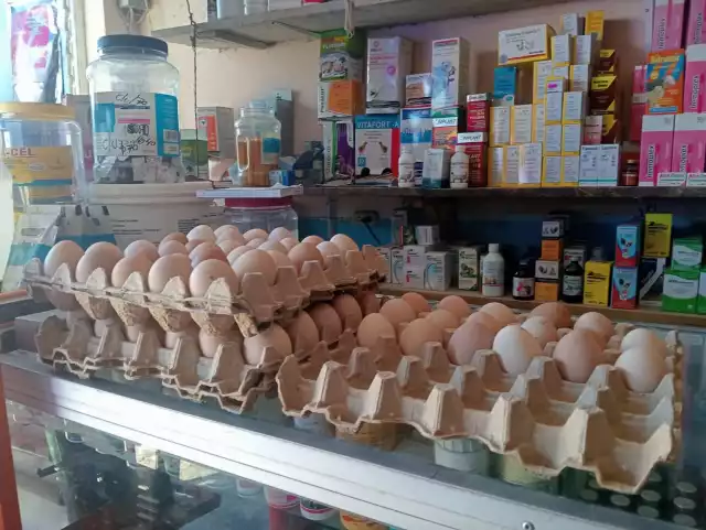 Familias de Sabancuy celebran baja de 15 pesos en la reja de huevo