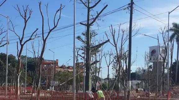El ciudadano dijo que es bueno que haya árboles en un parque, pero eso va a implicar constantemente que se limpie El ciudadano dijo que es bueno que haya árboles en un parque, pero eso va a implicar constantemente que se limpie