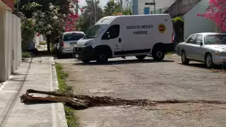 También acudió el Servicio Médico Forense (Semefo) para recoger el cuerpo