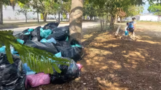 Hallan bolsas con presunto material quirúrgico contaminado en parque de la SM 4 de Cancún