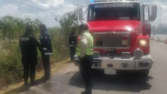 En el territorio campechano las llamas han consumido la Laguna de Términos y el Área de los Petenes En el territorio campechano las llamas han consumido la Laguna de Términos y el Área de los Petenes