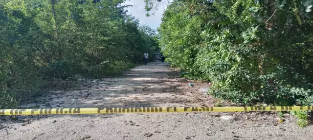 Aparentemente, los ciudadanos que realizaron el reporte dijeron escuchar cinco detonaciones de un arma de fuego