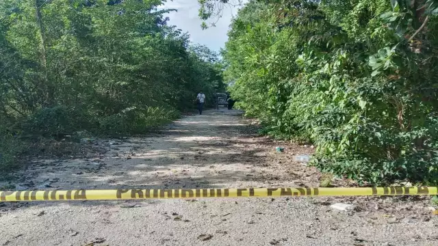 Aparentemente, los ciudadanos que realizaron el reporte dijeron escuchar cinco detonaciones de un arma de fuego