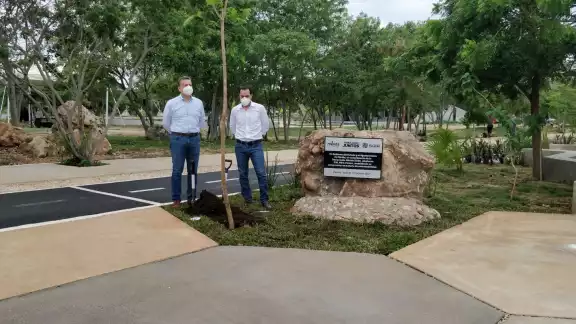 La arborización forma parte de la agenda “Mérida 2050"
