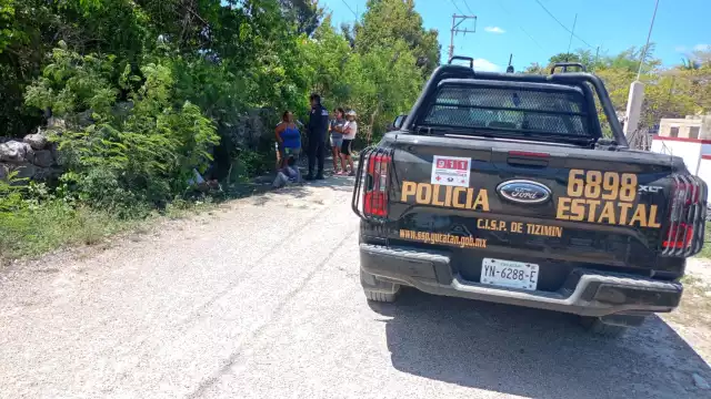 Avanzan las investigaciones para esclarecer la muerte de perros en Tizimín