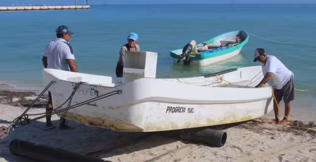 Pescadores señalan que los nortes podrían perjudicarlos en la recta final de la temporada del molusco