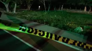 Hallan hombre colgado de un árbol en Cancún