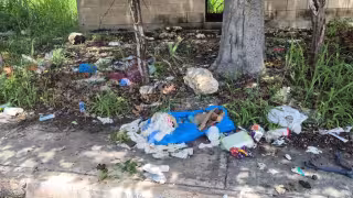 Vecinos reportaron un predio abandonado en la colonia Venustiano Carranza de Champotón.