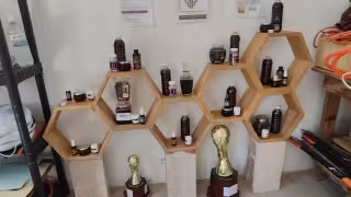 Con aleteo de abejas africanas, mujeres buscan aliviar tos y otros padecimientos