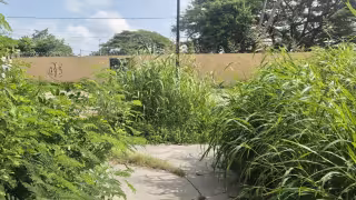 Maleza invade el parque de La Cruz, en Champotón: Ciudadanos exigen mantenimiento