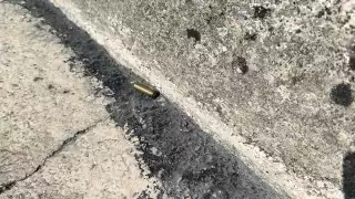 Investigación abierta tras encontrar casquillos percutidos en colonia Esperanza