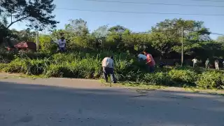 No está siendo utilizada la ciclovía, por parte de los alumnos por lo enmontado que se encuentra