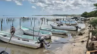 El 1 de agosto inició oficialmente la temporada del pulpo maya, pero reinó el desánimo en el puerto de Champotón.