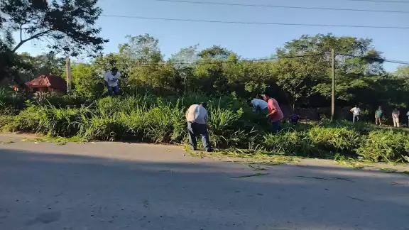 No está siendo utilizada la ciclovía, por parte de los alumnos por lo enmontado que se encuentra No está siendo utilizada la ciclovía, por parte de los alumnos por lo enmontado que se encuentra