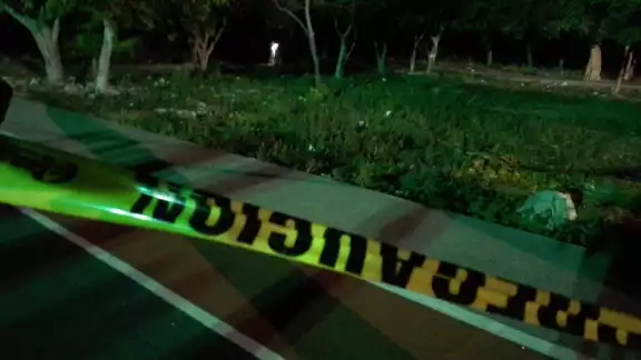 Hallan hombre colgado de un árbol en Cancún Hallan hombre colgado de un árbol en Cancún
