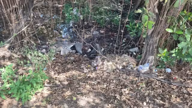 A pesar de ser una zona de manglar, vecinos aseguran que el parque se ha llenado de basura