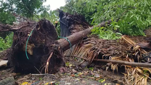 Los habitantes de esta localidad comentaron que el fenómeno se resintió cerca de las cinco de la mañana