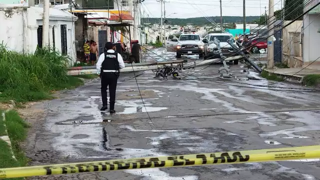 Varios vecinos se quedaron sin luz por la caída del poste