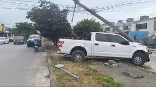 Jauría provoca fuerte accidente de tránsito sobre la avenida Niños Héroes de Cancún