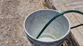 Sin agua en El Tajonal, Champotón: familias llevan 4 meses con servicio “a gotas”