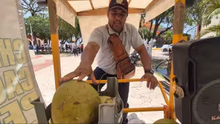 Calor dispara la venta de agua de coco en Champotón; comerciantes reportan alta demanda