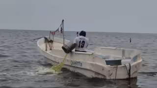Restringen pesca en 116 mil hectáreas de Campeche para recuperar especies como el pulpo y camarón