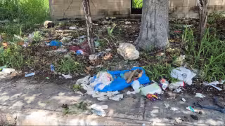 Predio abandonado lleva seis años como basurero en Champotón; vecinos denuncian malos olores
