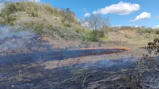 Alarma en la primera quema agrícola   de  Bacabchén, casi se convierte en incendio forestal