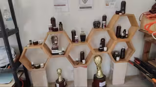 Mujeres mayas de Campeche usan aleteo de las abejas contra enfermedades respiratorias