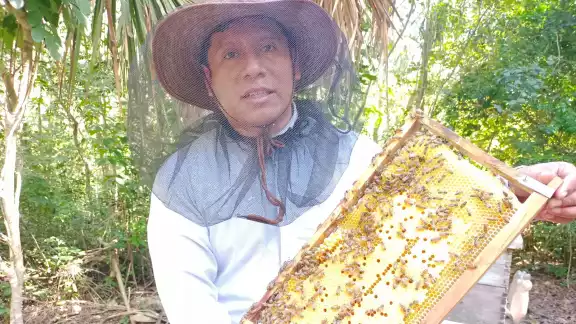 Reportan un alza en el precio del kilogramo de la miel; pasó de 23 a 31 pesos en el Oriente
