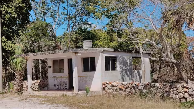 Bécal exige vigilancia especial durante el Carnaval ante hechos violentos