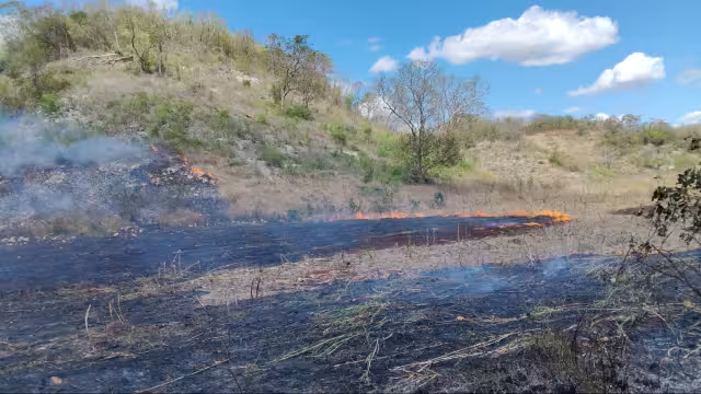 Campesinos sofocan incendio tras quema fuera de control