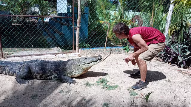 Aventurero viral visita granja de cocodrilos en Yucatán y graba retos extremos