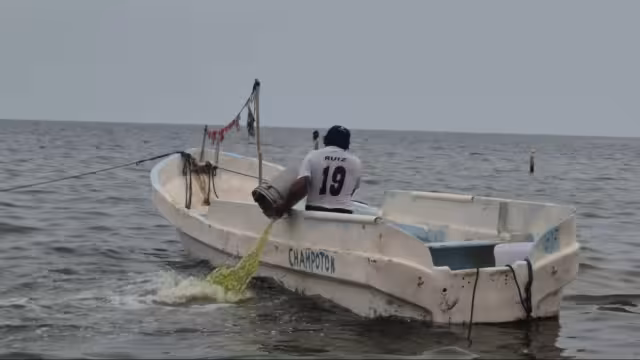 Pescadores esperan que lluvias enfríen el mar y mejore la pesca.