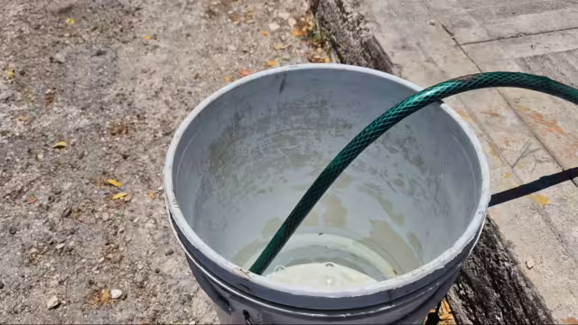 Sin agua en El Tajonal: familias llevan 4 meses con servicio “a gotas”