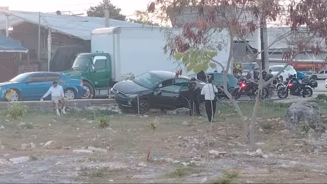 El auto que viajaba a exceso de velocidad terminó sobre el camellón de la avenida.