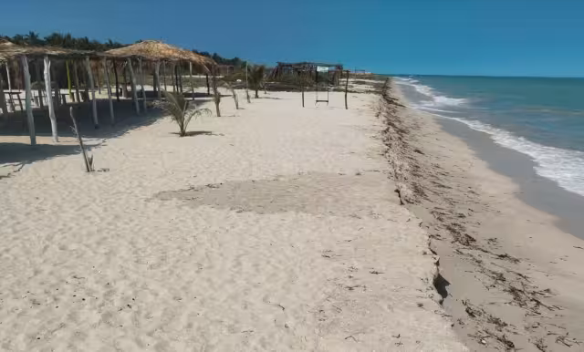 Prestadores de servicios esperan repunte en verano